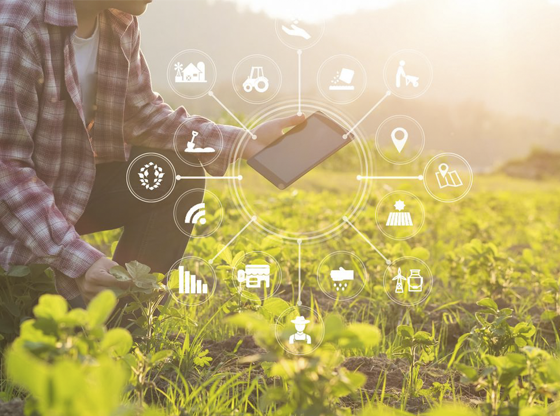 Start up de Foodtech, un nuevo modelo de negocio alimentario.